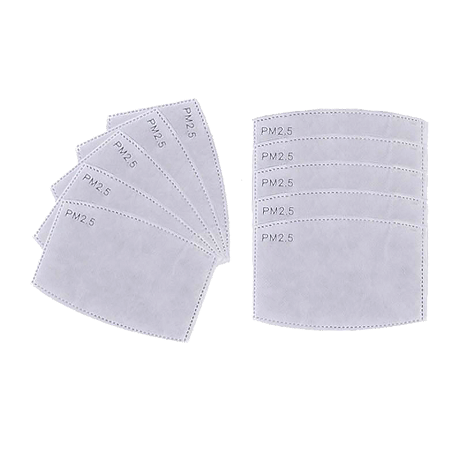 PM2.5 filter